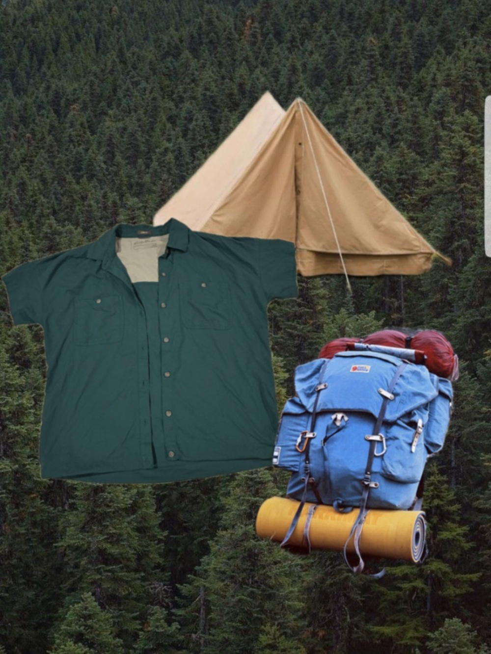 Forest Green Eddie Bauer Short Sleeve Camp Shirt